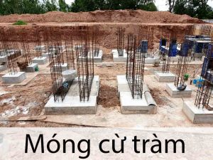Móng cọc cừ tràm